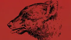 ¿Puedes encontrar a la persona en esta imagen óptica?