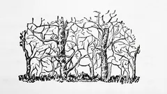 El primer animal que veas en la imagen revelará tu verdadera personalidad