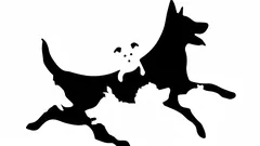 ¿Cuántos perros ves en la imagen? Un test rápido revelará tu edad psicológica.