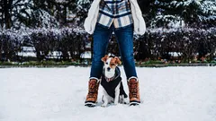 ¿Cuál es la duración óptima de un paseo con un cachorro?